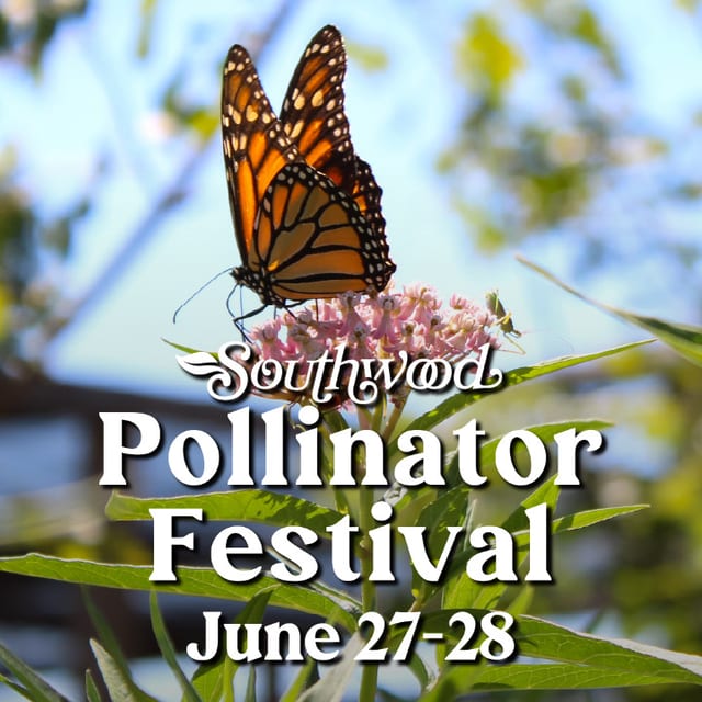 Southwood Pollinator Festival